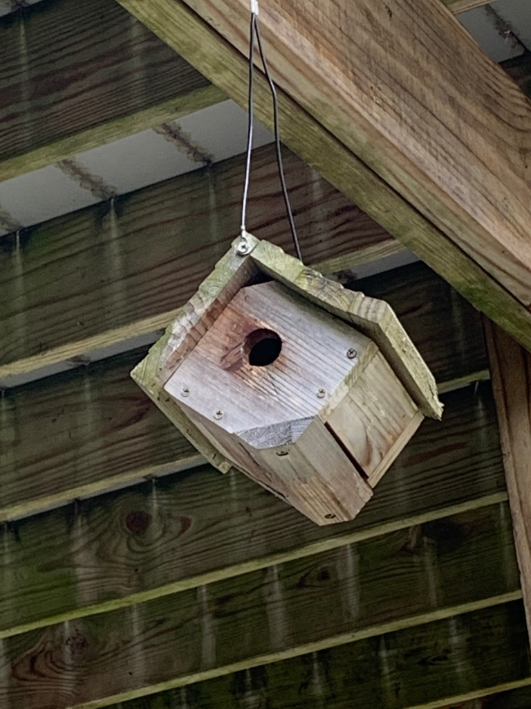 Small Bird house